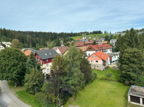 Ruhige Ferienwohnung in Schönwald